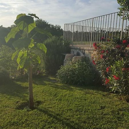 Casa La Pineta Villa Pievescola Kültér fotó