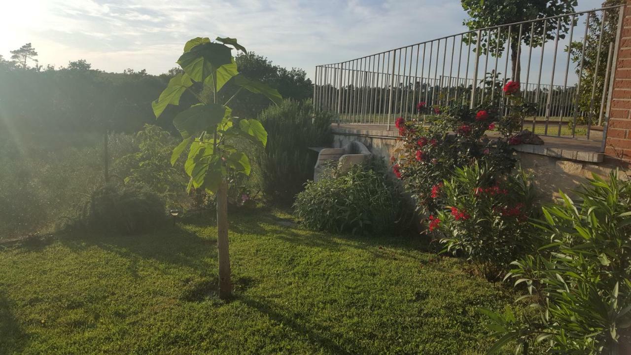 Casa La Pineta Villa Pievescola Kültér fotó